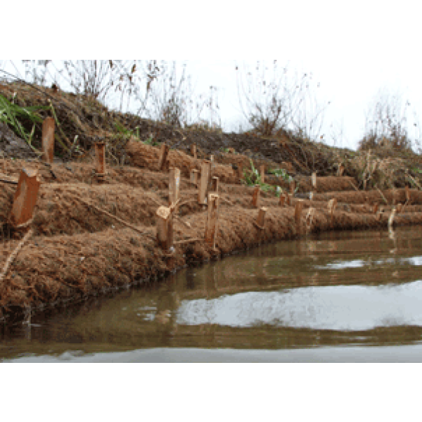 Coir Logs
