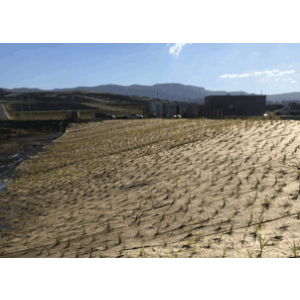 JUTE FELT – ECO
