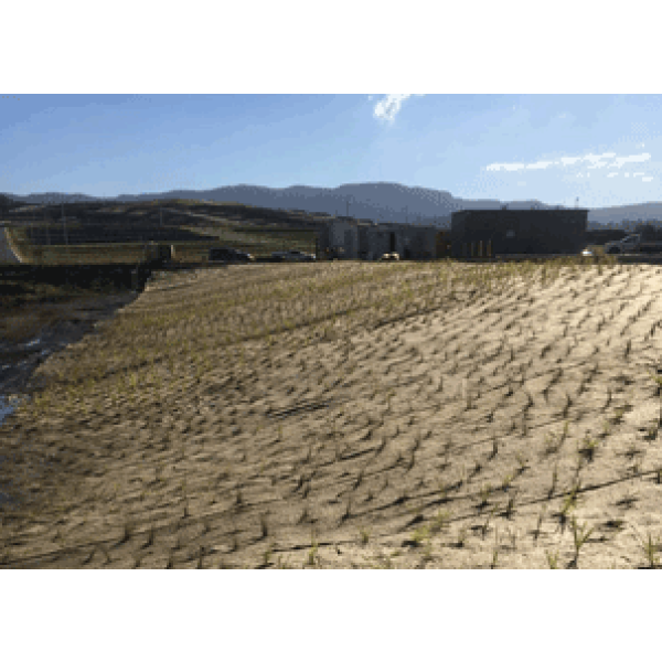 JUTE FELT – ECO